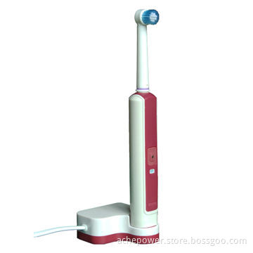 Fashionable Design, Hottest, Rechargeable Tooth Brush